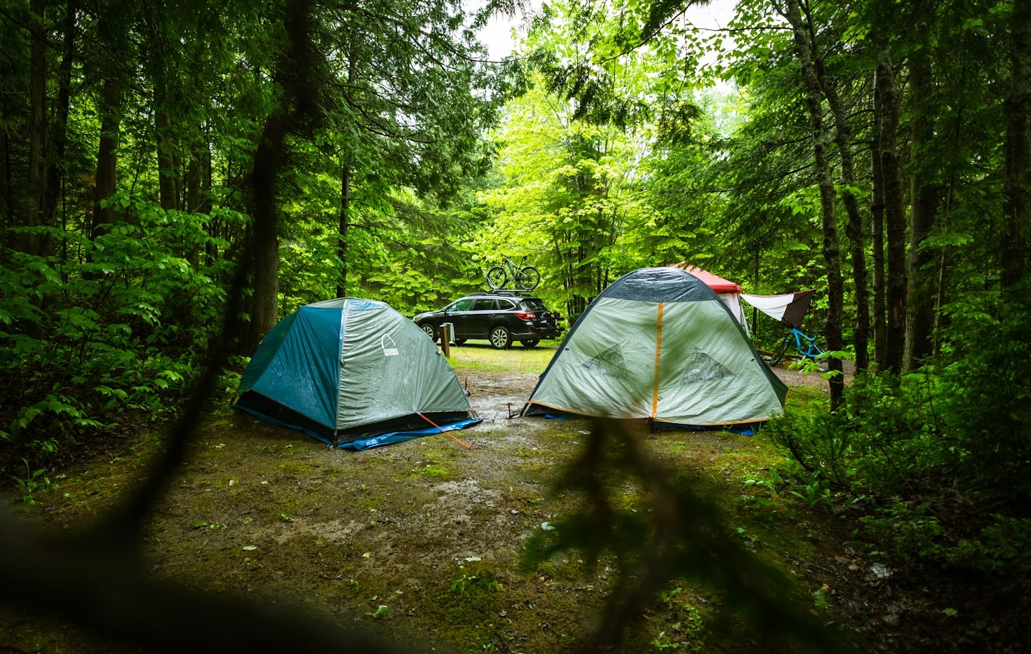 Top 10 Camping Essentials You Can’t Miss